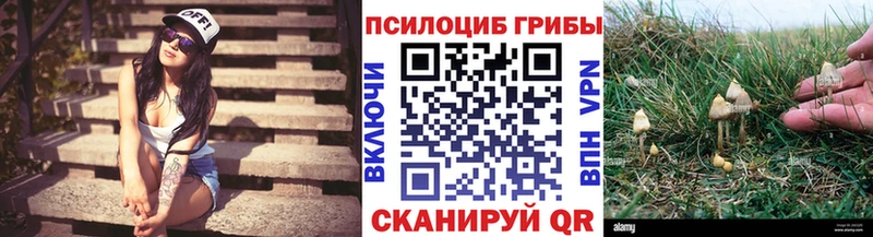 Псилоцибиновые грибы Psilocybine cubensis  Канск 